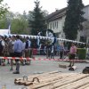 Maibaum 2013